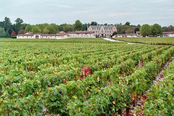Chateau im Weinberg